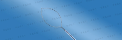 一次性使用電圈套器
